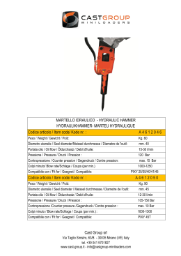 MARTELLO IDRAULICO - HYDRAULIC HAMMER