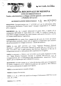 DETERMINAZIONE DIRIGENZIALE N. _M DEL 20 I 021294}