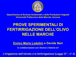 Prove sperimentali di fertirrigazione dell`ulivo