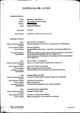 curriculum vitae