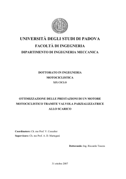 oazza, Riccardo - Padua@Research - Universit&agrave; degli Studi di Padova