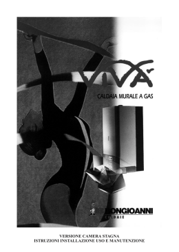 VIVA CSI - Bongioanni Caldaie