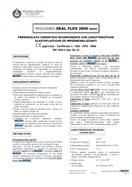 SEAL FLEX 2800 - Tecnochem Italiana