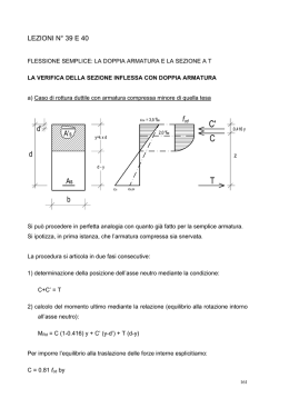 LEZIONI N° 39 E 40 - Sezione STRUTTURE del DICA