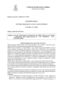 Testo della determinazione