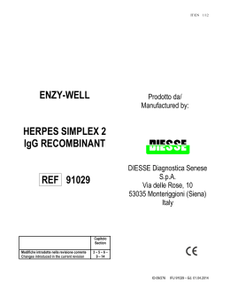 91029 IT-EN HSV 2 IgG Rec 2014.04.01