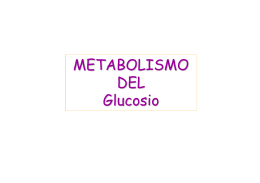 17) Metabolismo Glucosio - PRETEST DI STUDENTI PER