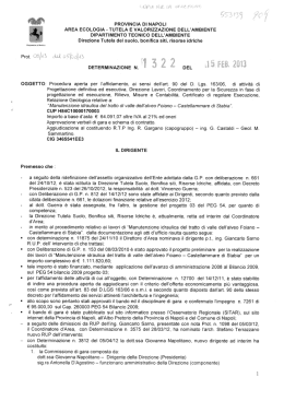 Determinazione n.1322 del 15/02/2013 (documento pdf)