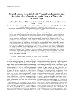 Genital Lesions Associated with Visceral Leishmaniasis and