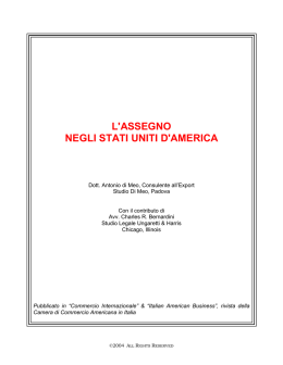 L`ASSEGNO NEGLI STATI UNITI D`AMERICA