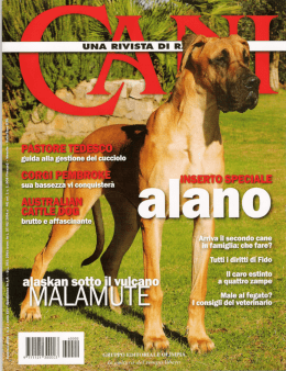 Page 1 Page 2 AUSTRALIAN CATTLE DOG I`BZIE rare FEDELE