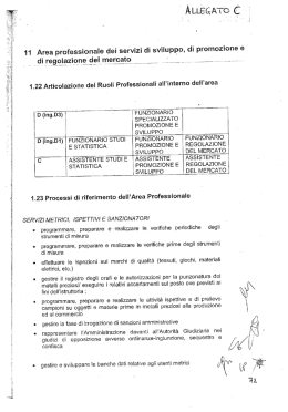 Mobilit&agrave; cat. D1: Profilo professionale