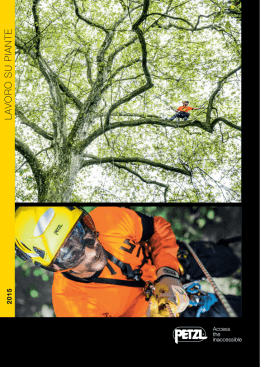 Treeclimbing 2015