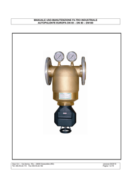manuale Europa DN 65 &ndash; DN 80 &ndash; DN 100