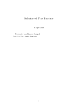Relazione di Fine Tirocinio