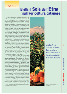 Brilla il sole dell`Etna sull`agricoltura catanese