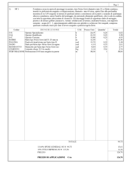 Pa g. 1 1) NP.1 Fomitura e posa in opera di ancoraggi in acciaio