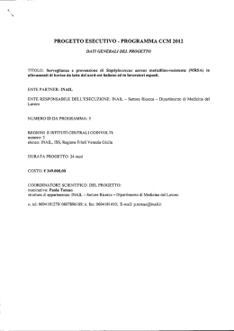 Il testo del progetto