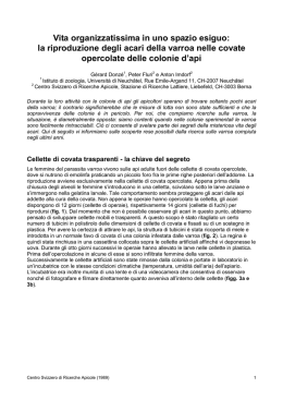 la riproduzione degli acari della varroa nelle - Agroscope