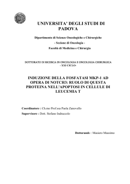 Documento PDF - Padua@Research