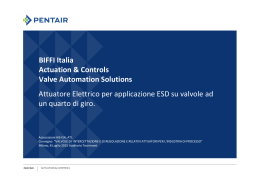 BIFFI Italia Actuation & Controls Valve Automation Solutions