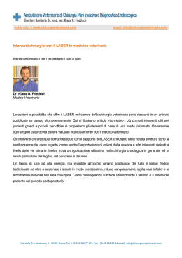 Interventi chirurgici con il LASER in medicina veterinaria.