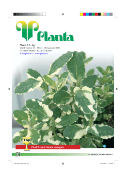 Plant`Aromi: Menta variegata Planta S.S. Agr