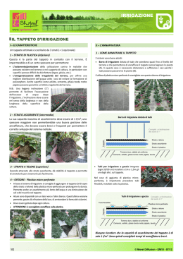 Il tappeto d`irrigazione