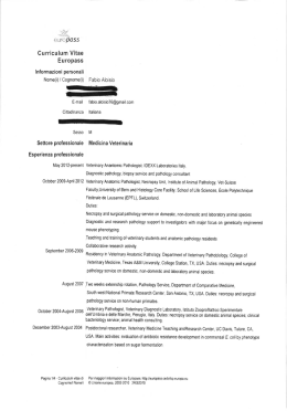 Curriculum Vitae