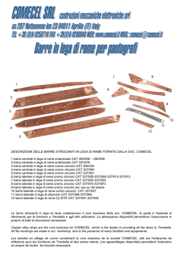 scarica scheda pdf