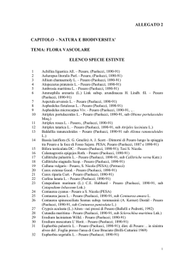 &ldquo;La Terra &egrave; una sola, ma il mondo non lo &egrave;