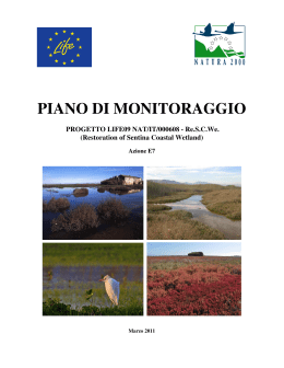 Piano di monitoraggio – anno 2011