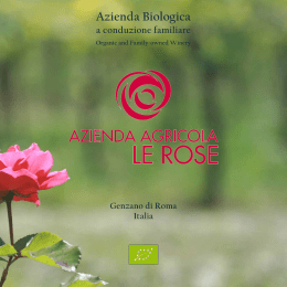 Scarica la nostra Brochure!