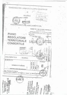 Page 1 Page 2 NORME DJ ATTUAZIONE (Aggm Settembre 1994