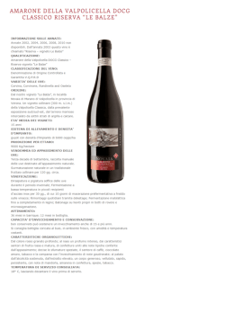 amarone della valpolicella docg classico riserva “le balze”
