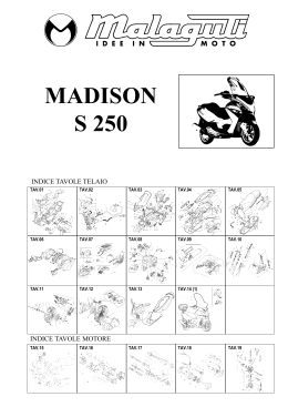 Scooter MADISON S250