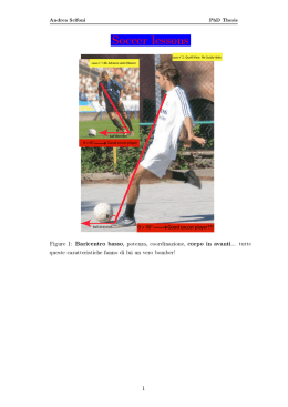 Andrea Scifoni PhD Thesis S24479 A7CC2GC Figure 1