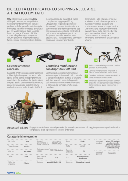 bicicletta elettrica per lo shopping nelle aree a traffico limitato