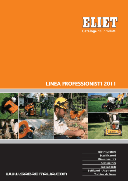 LINEA PROFESSIONISTI 2011