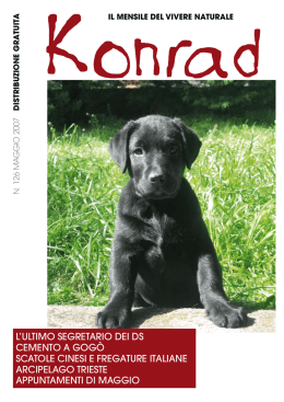 LLULTIMO SEGRETARIO DEI DS CEMENTO A GOG&ograve;