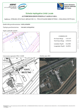 Scheda riepilogativa Unit&agrave; Locale - SIRA