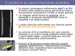 La concimazione azotata - Associazione Studenti di Agraria IAAS