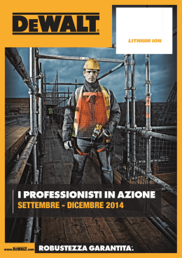 volantino dewalt set-dic