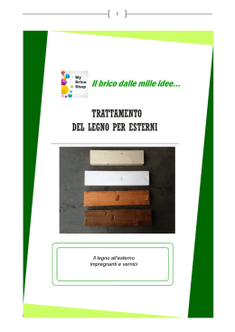 Tinteggiatura e finitura legno