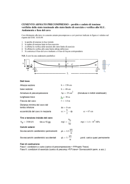 CEMENTO ARMATO PRECOMPRESSO