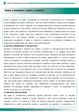 pagina di base logo CVGS - Clinica Veterinaria Gran Sasso