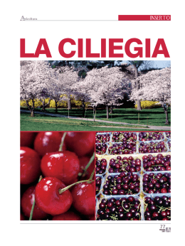 inserto la ciliegia