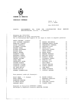 testo della delibera P.E.B.A. secondo stralcio