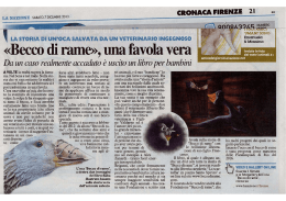 7/12/2013 La Nazione Firenze