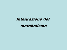 Integrazione del metabolismo